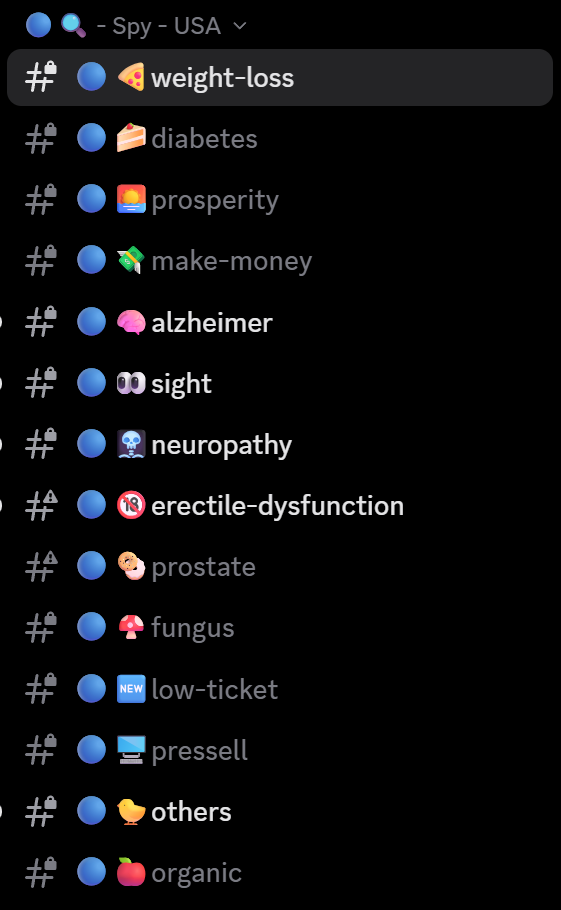 Ecom Swipers Discord channels